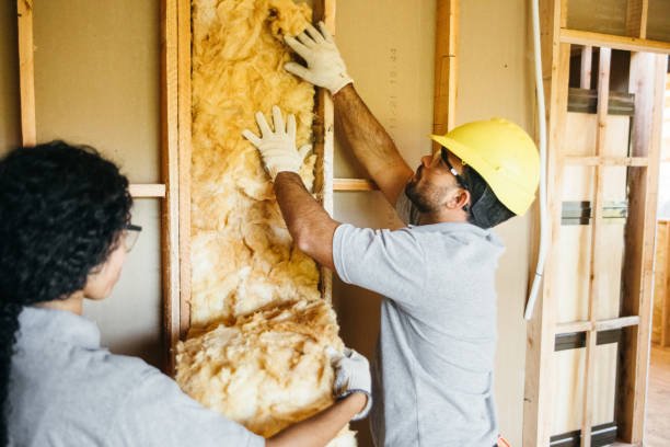 Best Cellulose Insulation  in Hewlett Harbor, NY